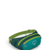 Osprey Daylite Waist Pack - Escapade Green/Baikal Green